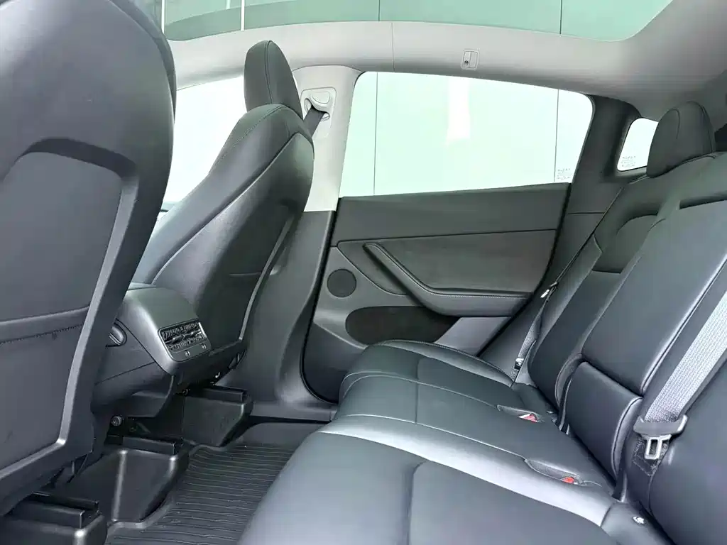 Tesla Model Y — миниатюра 6