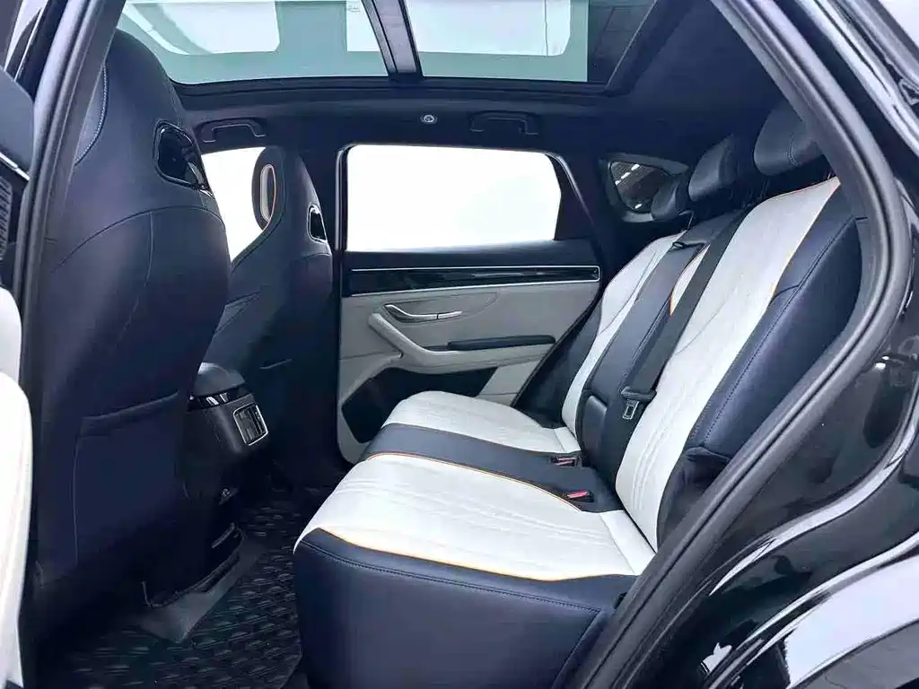 BYD PLUS New Energy — миниатюра 4