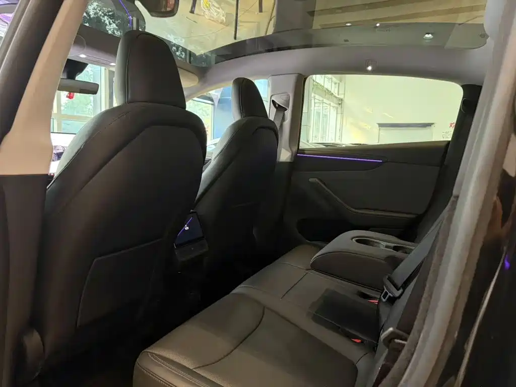 Tesla Model Y — миниатюра 5