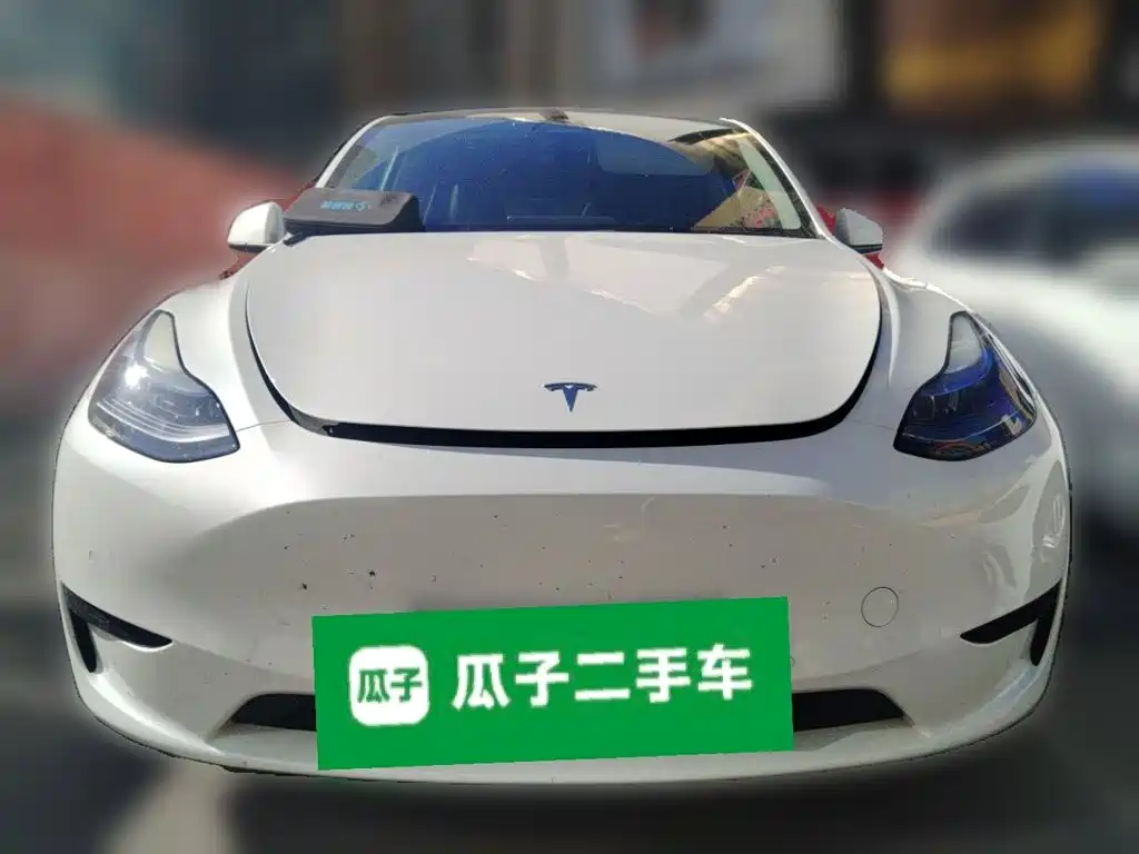 Tesla Model Y — миниатюра 2
