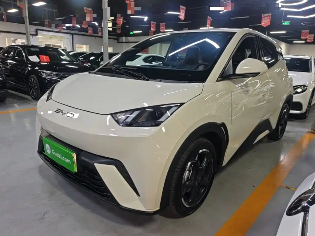 BYD Seagull