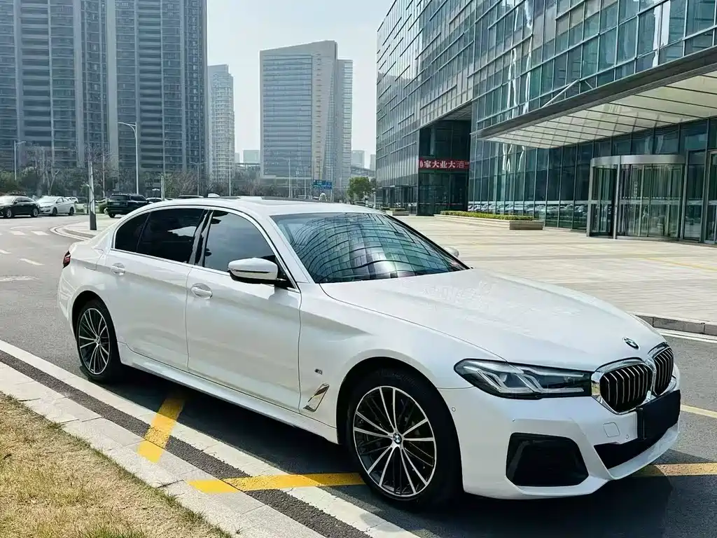 BMW 5 Series — миниатюра 3