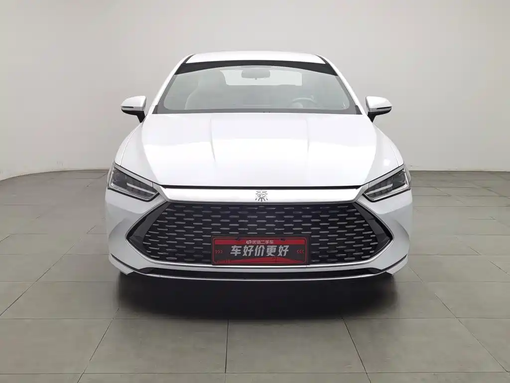 BYD Qin Plus PLUS 2023 Champion DM-i 55KM Lead