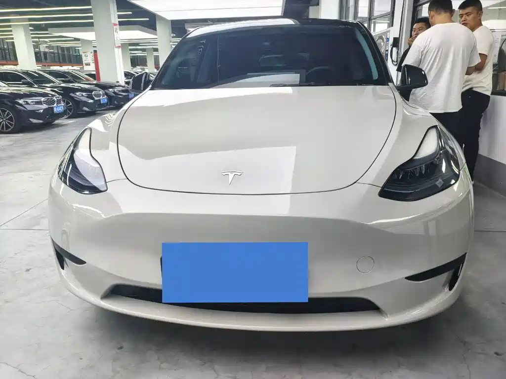 Tesla Model Y — миниатюра 2