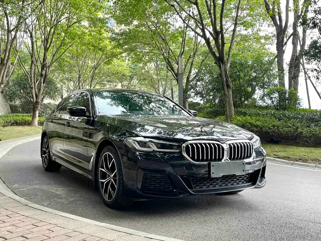 BMW 5 SERIES