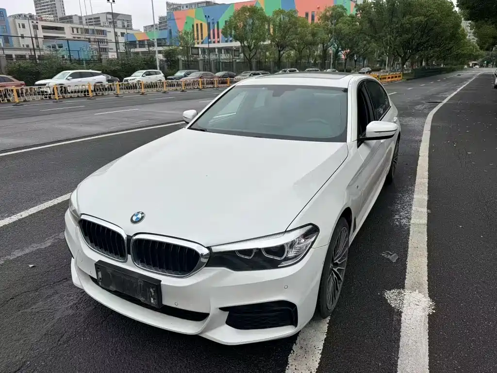 BMW 5 Series 5 2018 530Li Lead M Sport