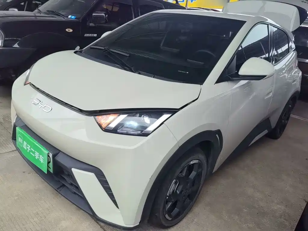 BYD Seagull 2025 305km Freedom