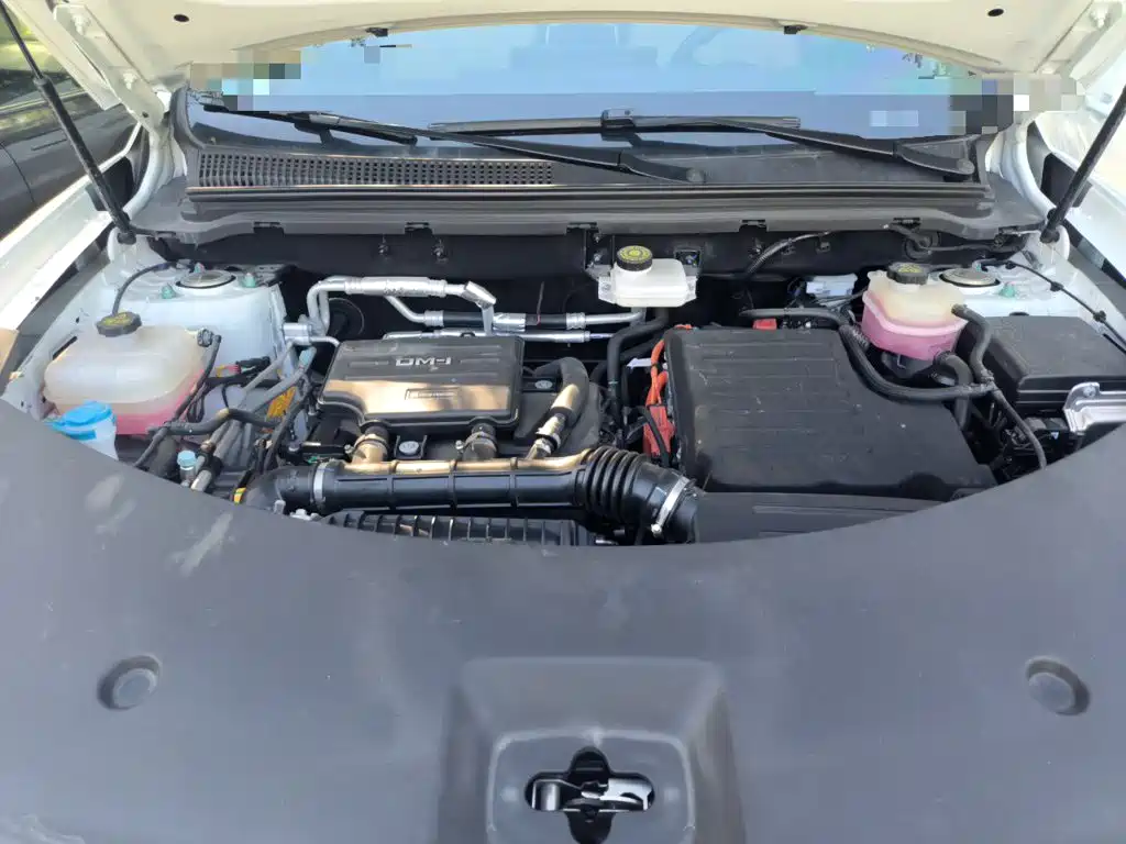 BYD Pro New Energy — миниатюра 21