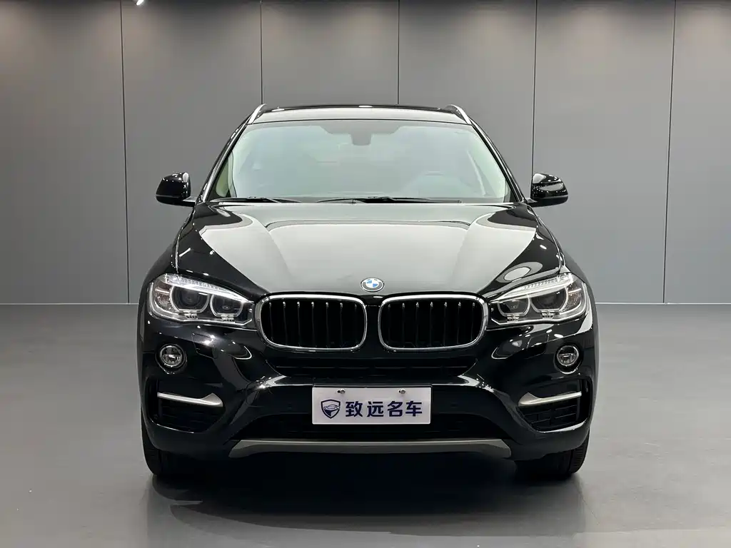 BMW X6 — миниатюра 2