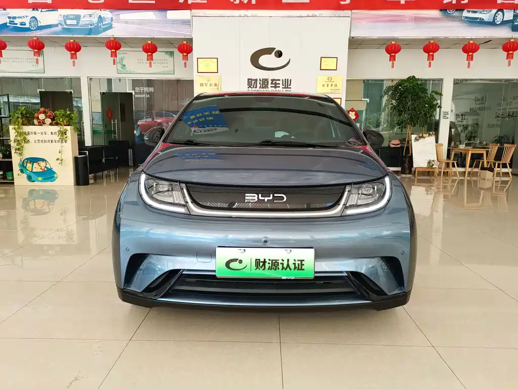 BYD Dolphin — миниатюра 2