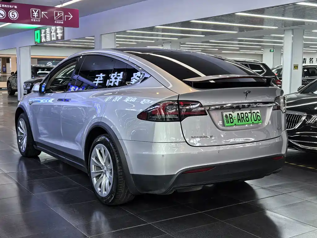 Tesla Model X — миниатюра 4