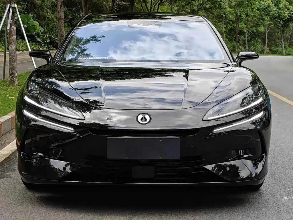 Denza Denza Z9GT — миниатюра 4