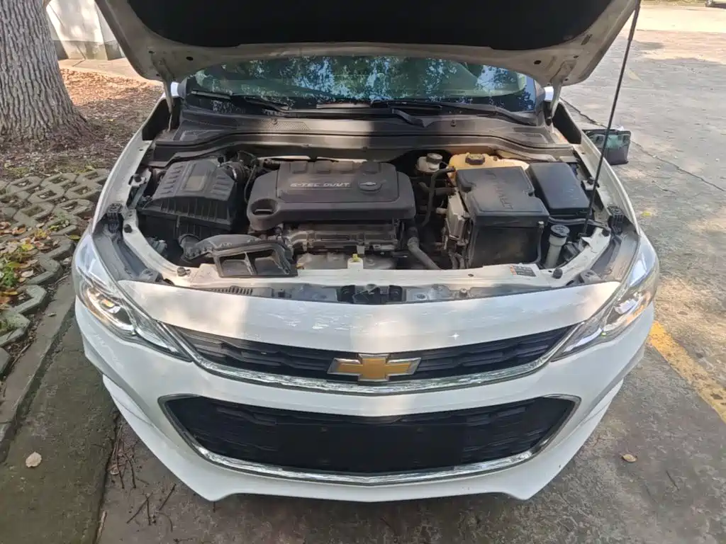 Chevrolet Cavalier — миниатюра 20