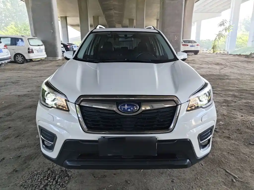 Subaru Forester — миниатюра 3