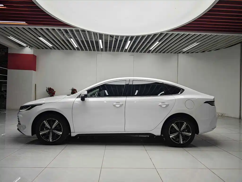 BYD Destroyer 05 — миниатюра 8