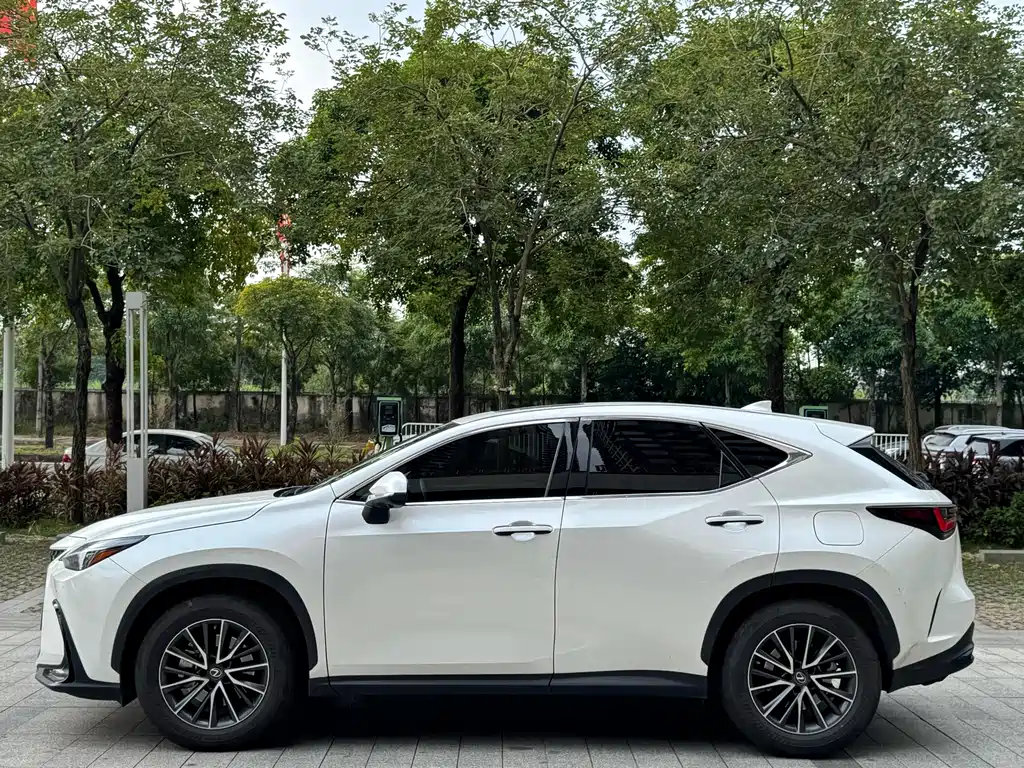 Lexus NX — миниатюра 12