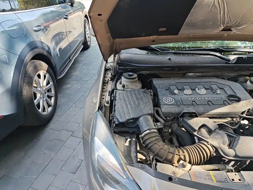 Buick Regal — миниатюра 20