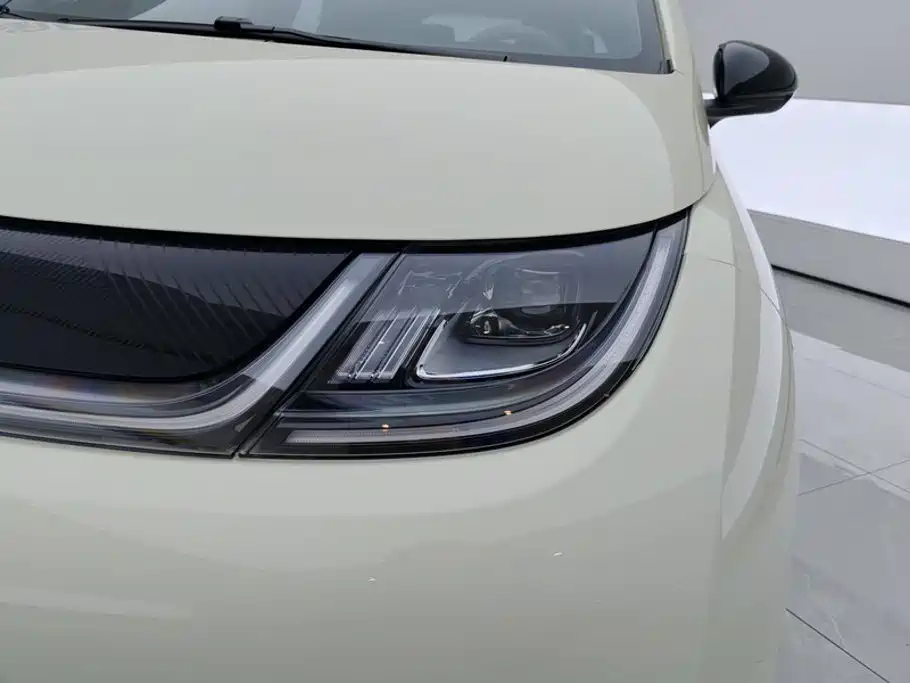 BYD Dolphin — миниатюра 5