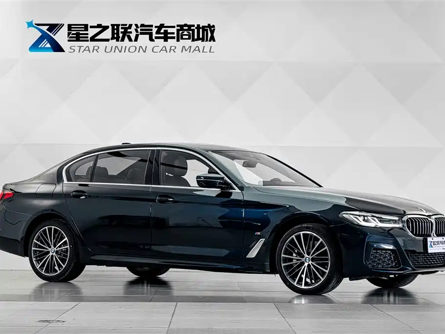 BMW 5 Series — миниатюра 5