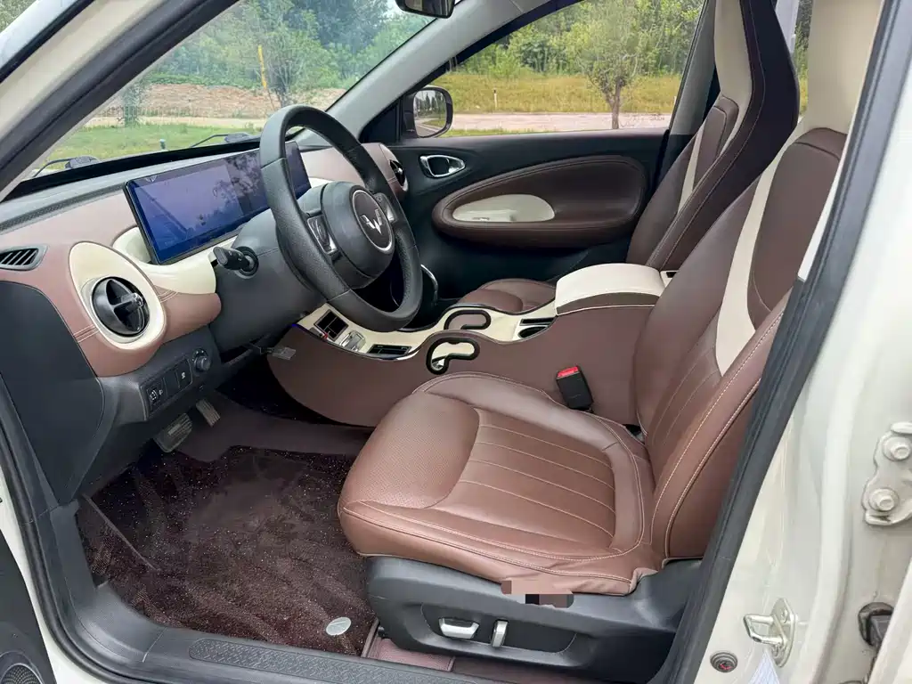 Wuling Binguo 2023 333km +