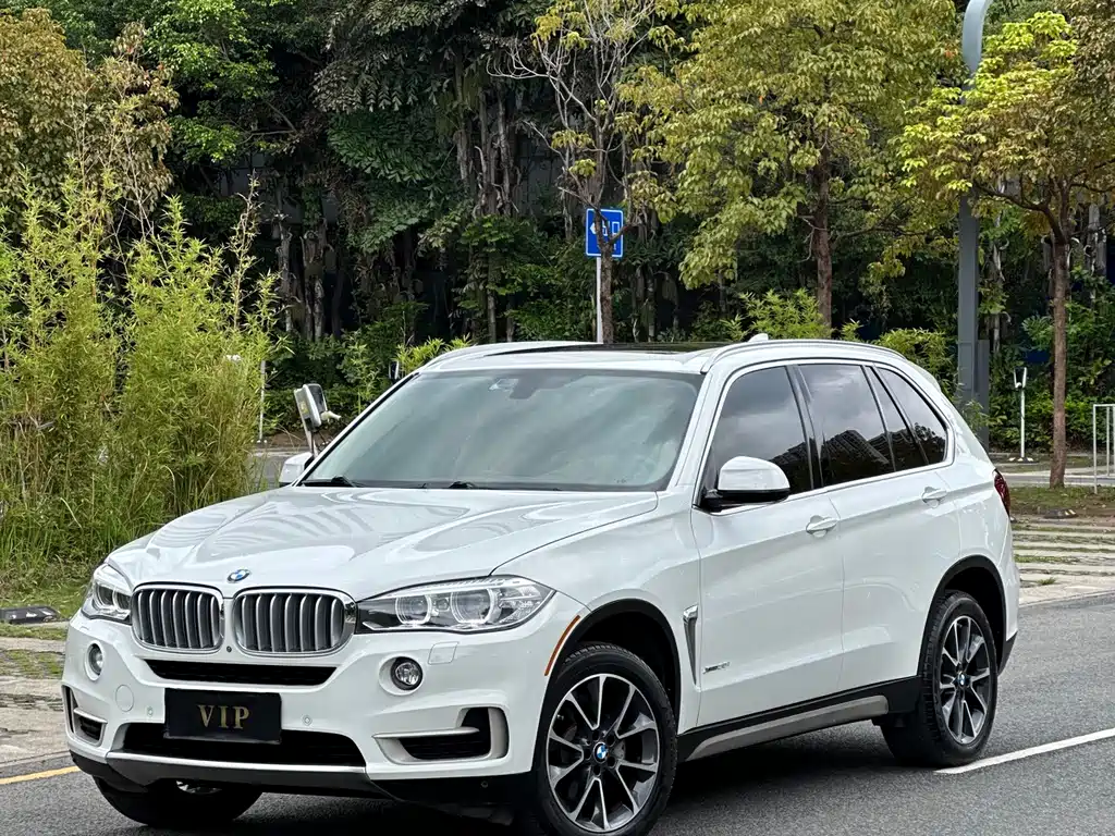 BMW X5 (Import) 2014