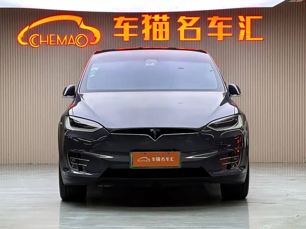 Tesla Model X — миниатюра 3