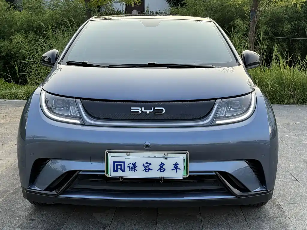 BYD Dolphin — миниатюра 2