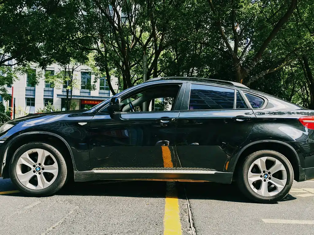 BMW X6 — миниатюра 7