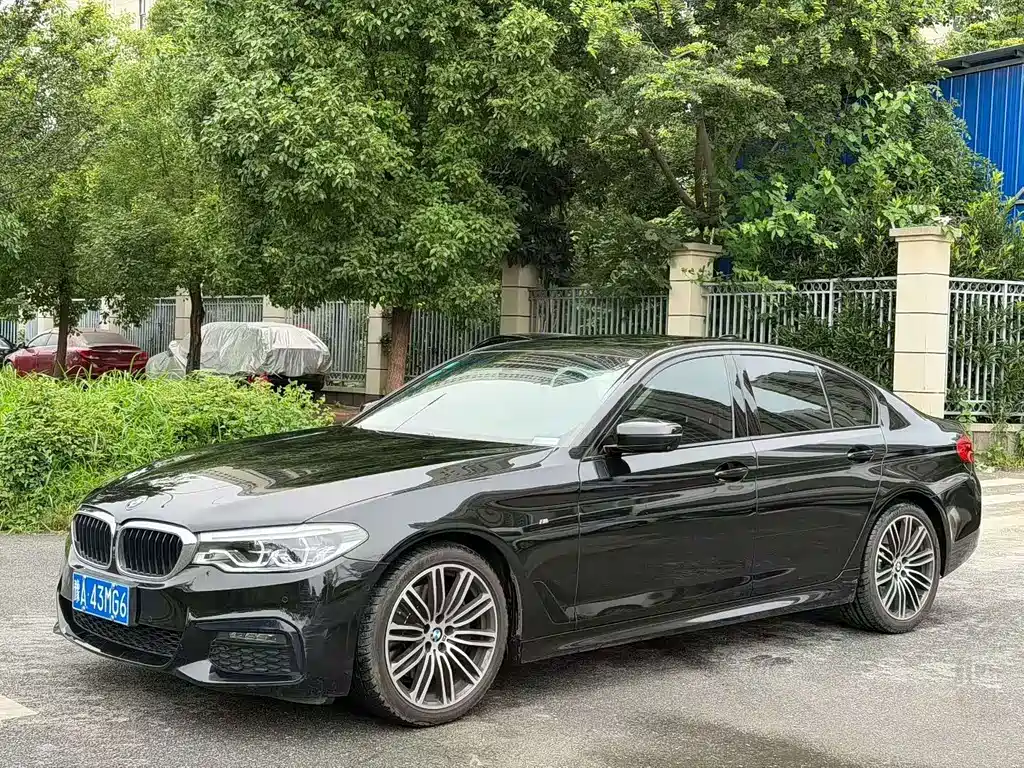 BMW 5 Series (Import)