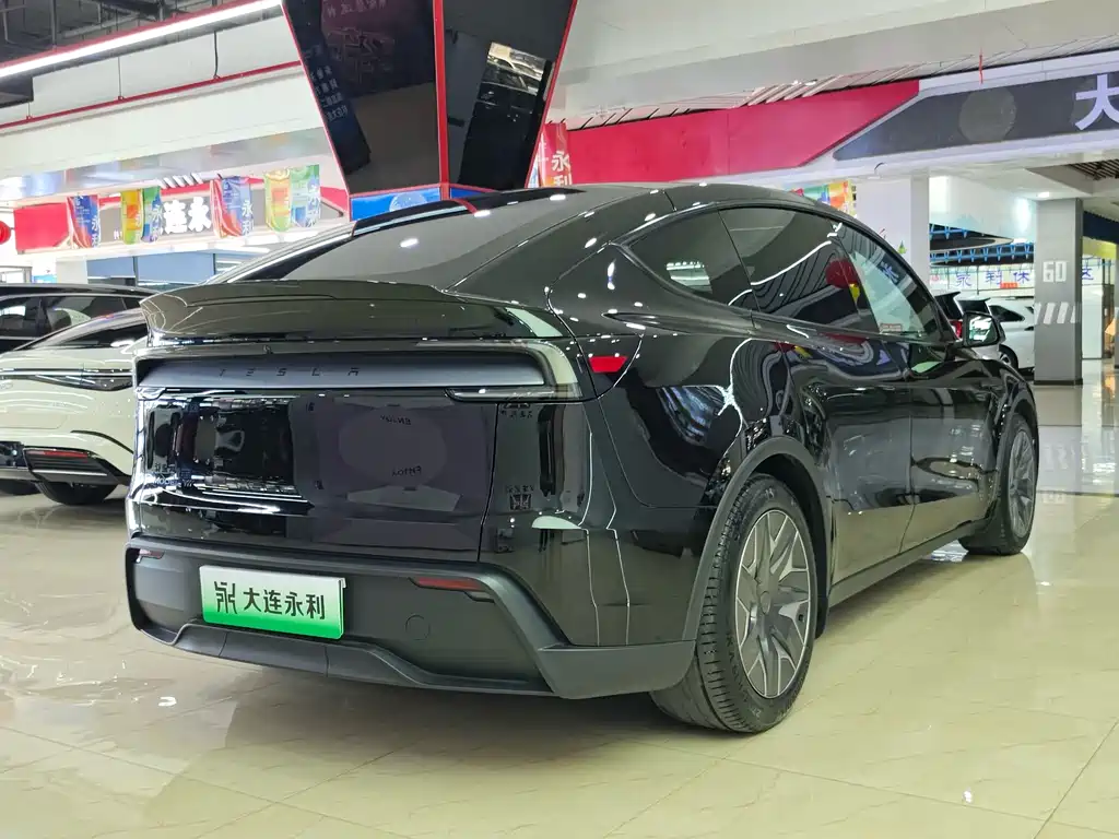 Tesla Model Y L — миниатюра 4