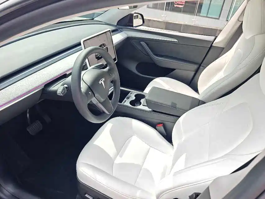 Tesla Model Y — миниатюра 4