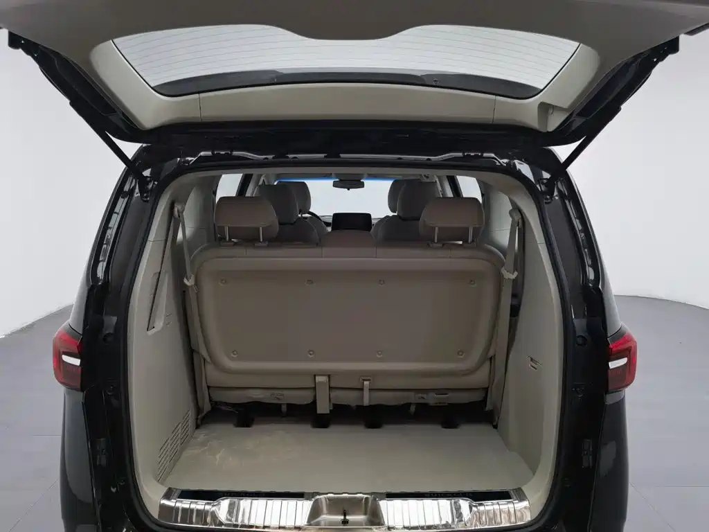Buick GL8 — миниатюра 16
