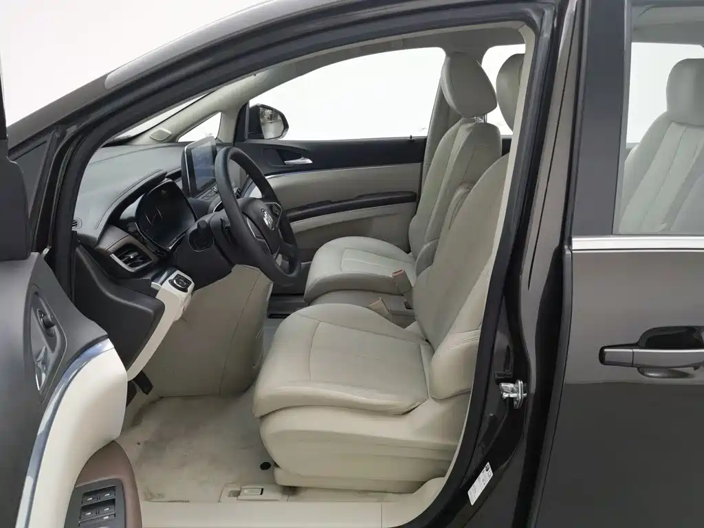 Buick GL8 — миниатюра 10