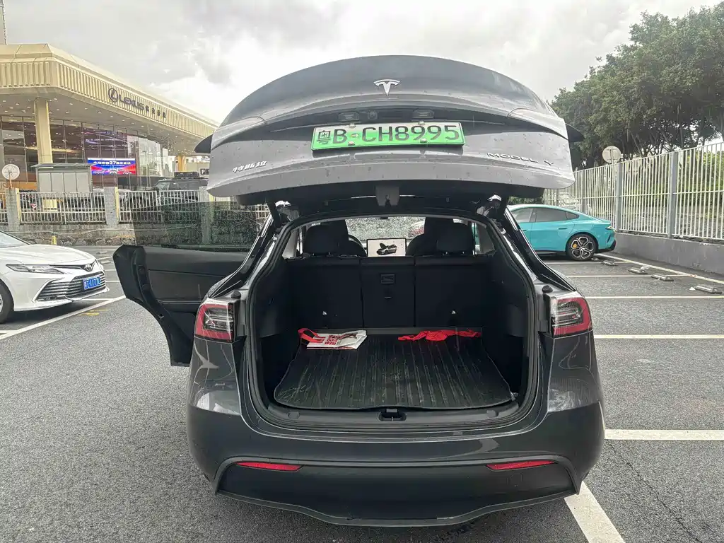 Tesla Model Y — миниатюра 10