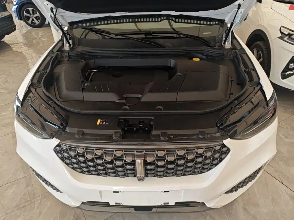 Wey Wey VV6 — миниатюра 20