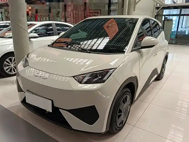 2025 BYD Seagull