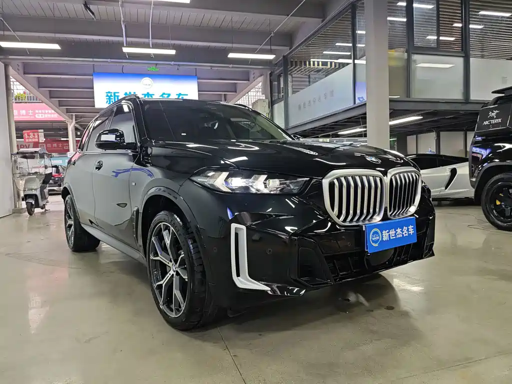 BMW X5 — миниатюра 3