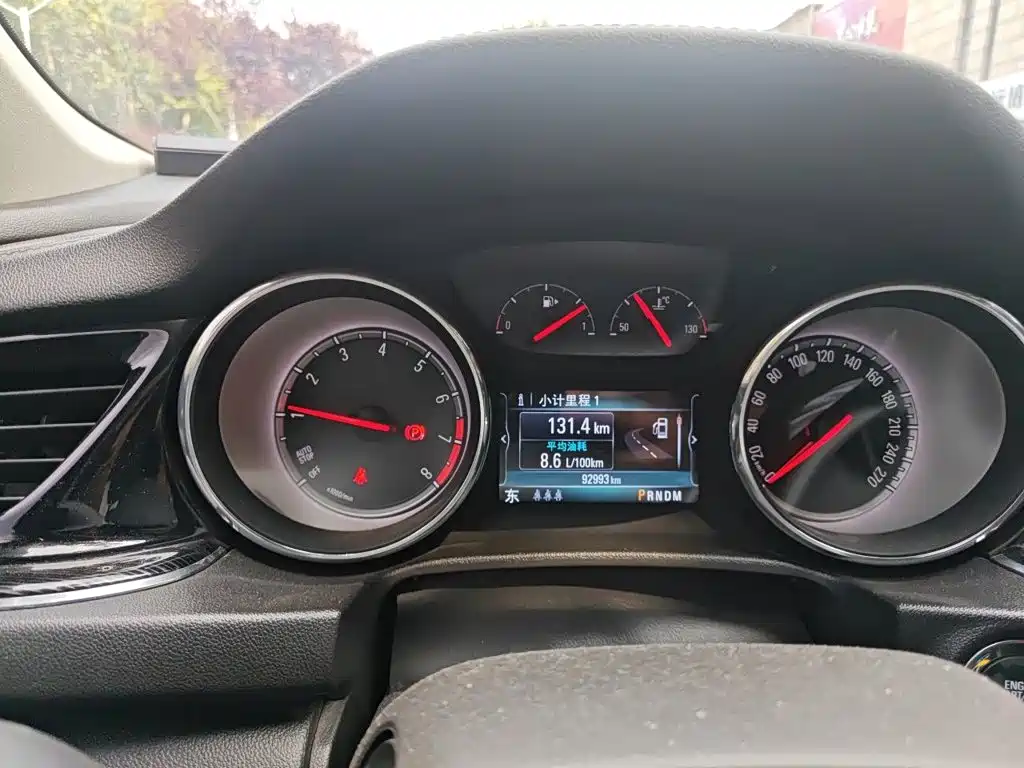 Buick Regal — миниатюра 12