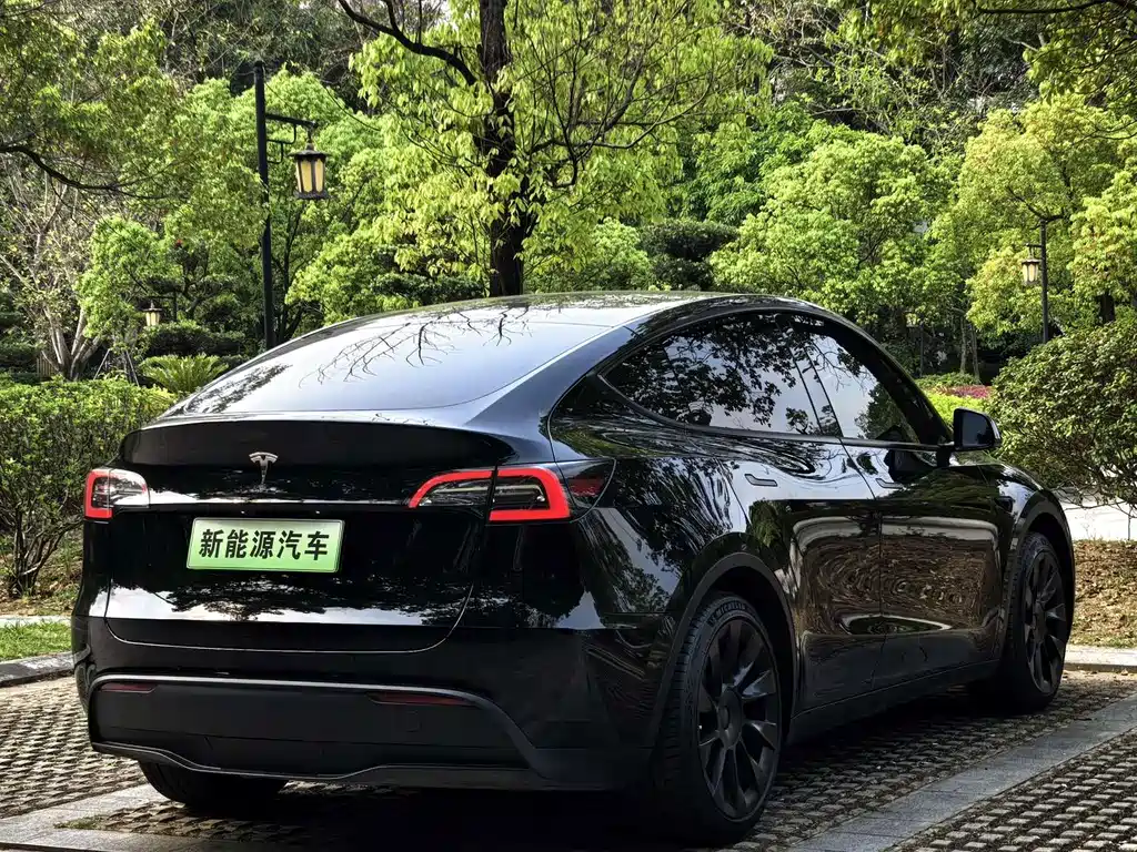 Tesla Model Y — миниатюра 2