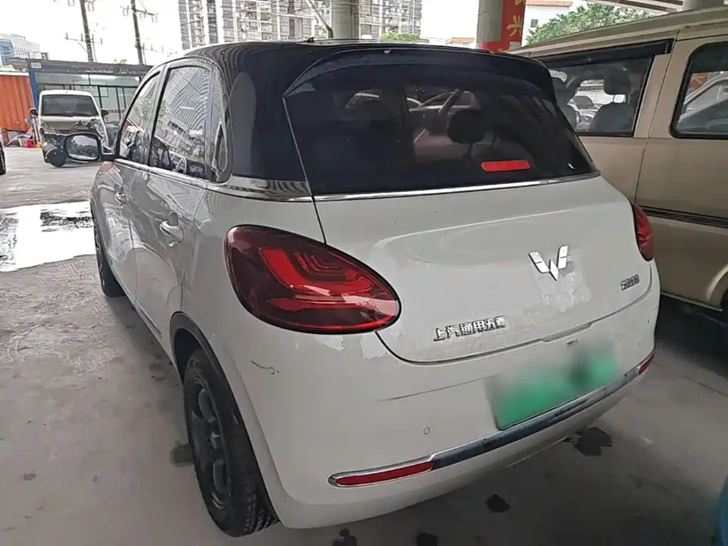 Wuling Binguo 2023 333km +