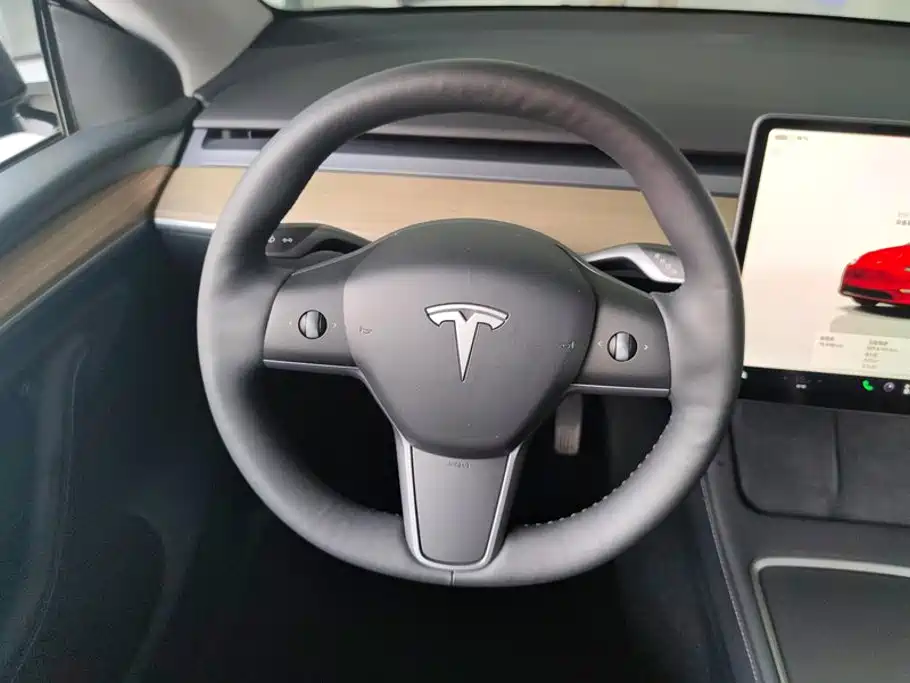 Tesla Model Y — миниатюра 15