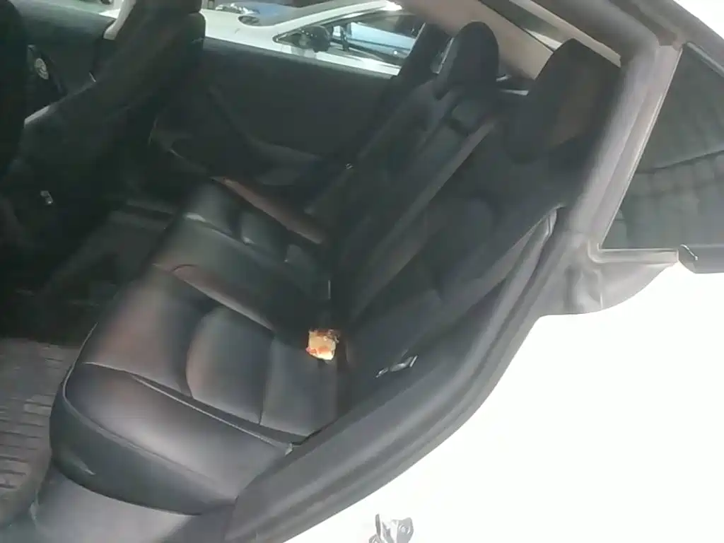 Tesla Model 3 — миниатюра 17