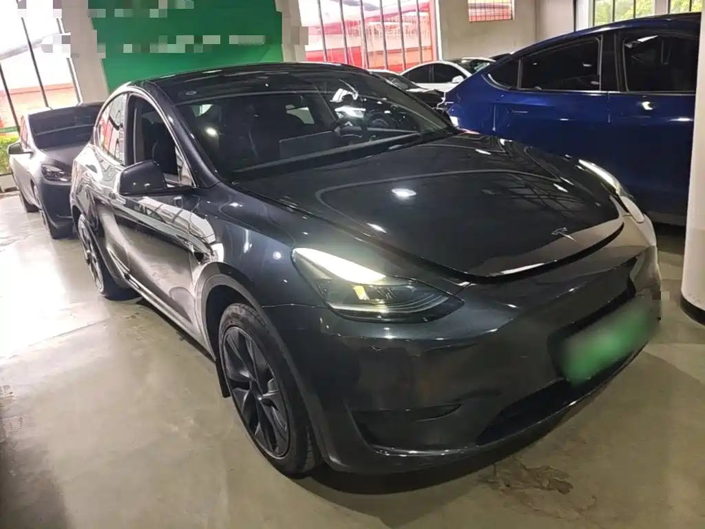 Tesla Model Y — миниатюра 4