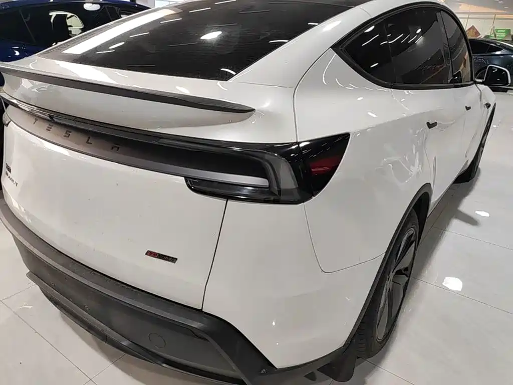 Tesla Model Y — миниатюра 8