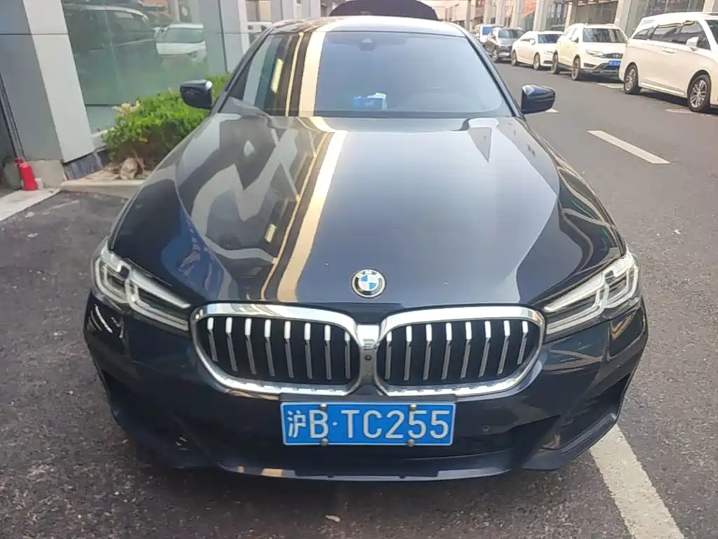 BMW 5 Series (Import) — миниатюра 2