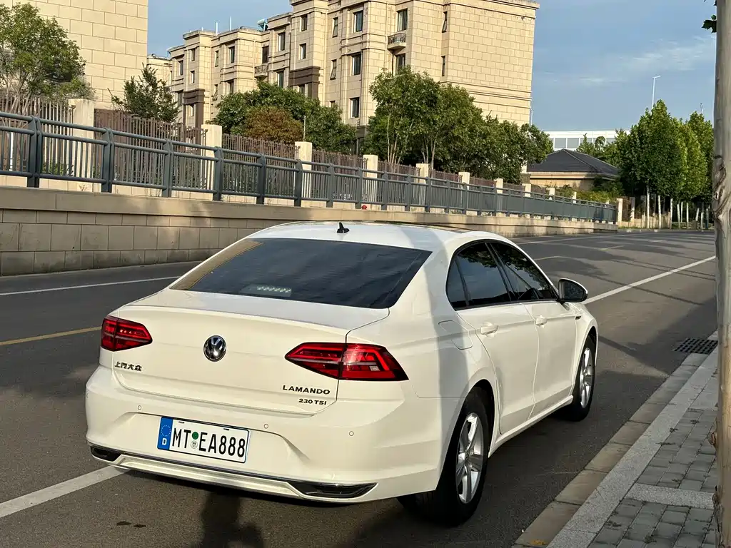 Volkswagen Lamando — миниатюра 6