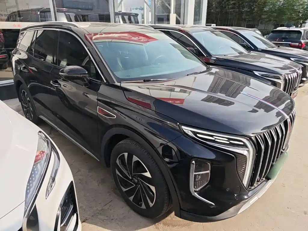 Hongqi Hongqi HS7 PHEV — миниатюра 4