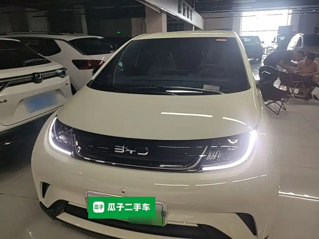 BYD Dolphin — миниатюра 3