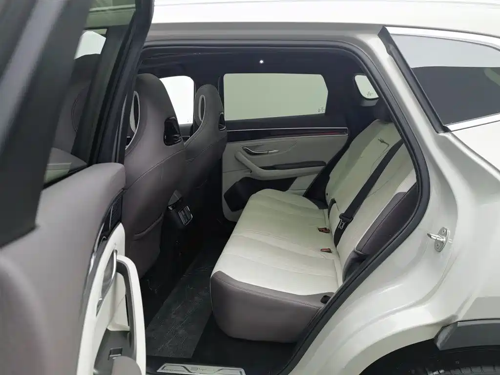 BYD SONGJIANG NEW ENERGY