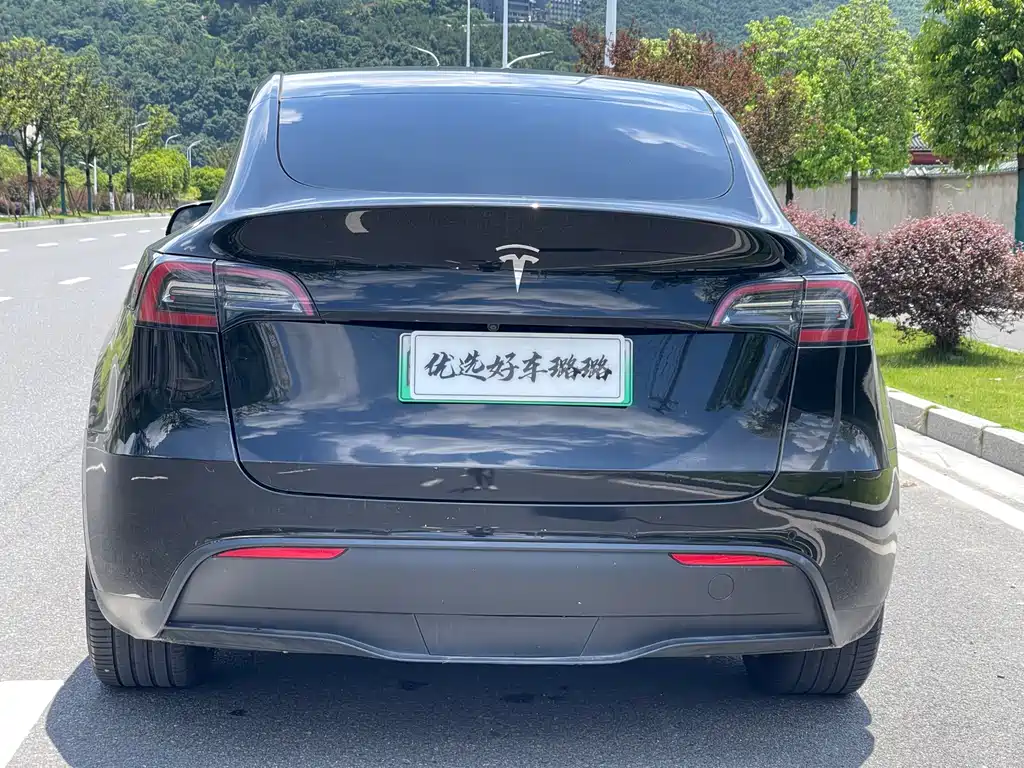 Tesla Model Y — фотографии объявления, Фото 12